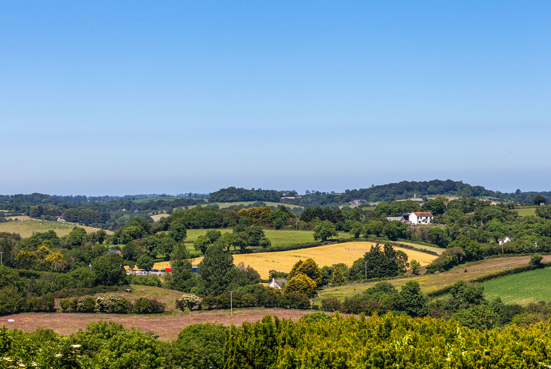 Farmland in County Down, Northern Ireland
