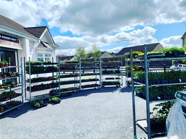 Outdoor Flower Market At Mulkerns