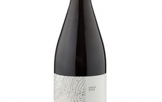 Comahue Pinot Noir