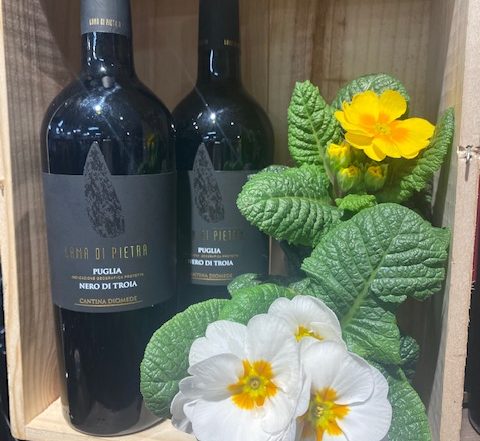 Lama di Pietra in our In Store Off Sales